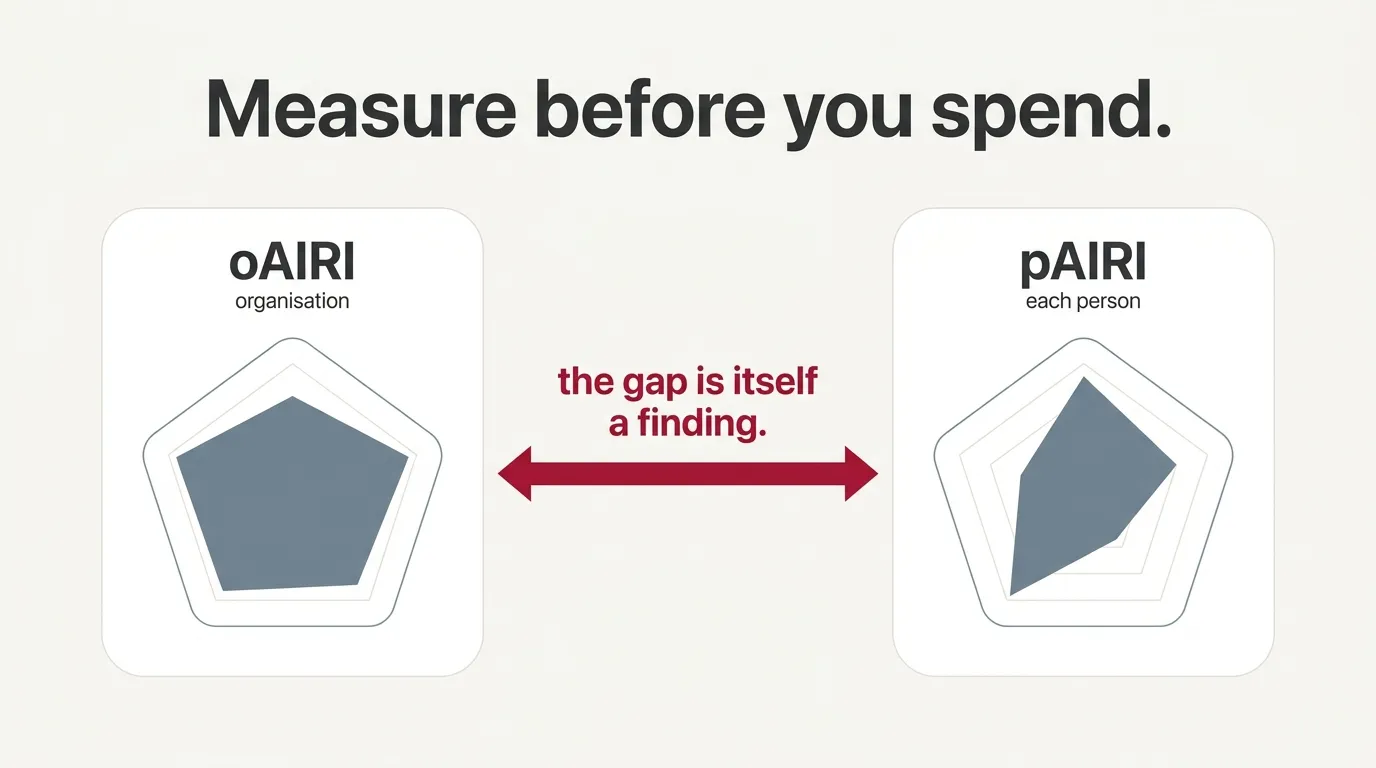 Two simplified radar profiles, oAIRI for the organisation and pAIRI for each person, with the gap between them marked as itself a finding